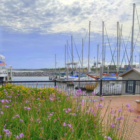 Meet your Posher - Picture 1 of 1